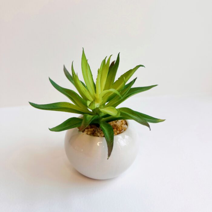 Housewarming Gift Basket - Image 6